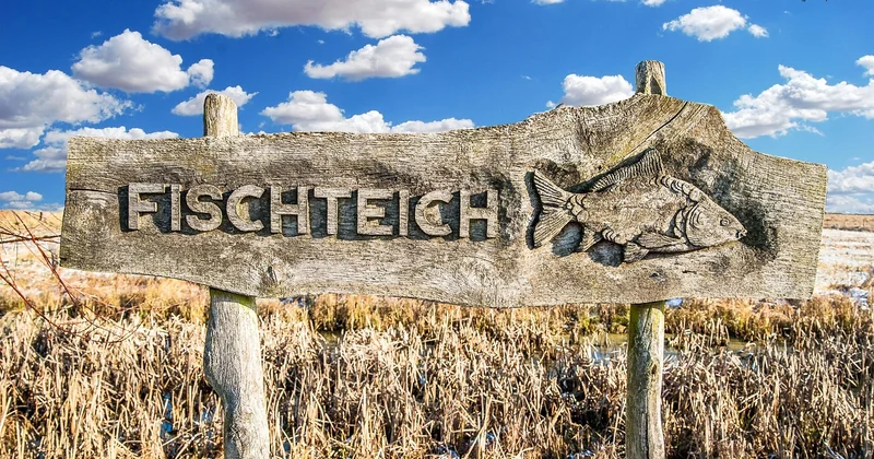 etc. Bedeutung im Englischen und Deutschen: der lateinische Ursprung