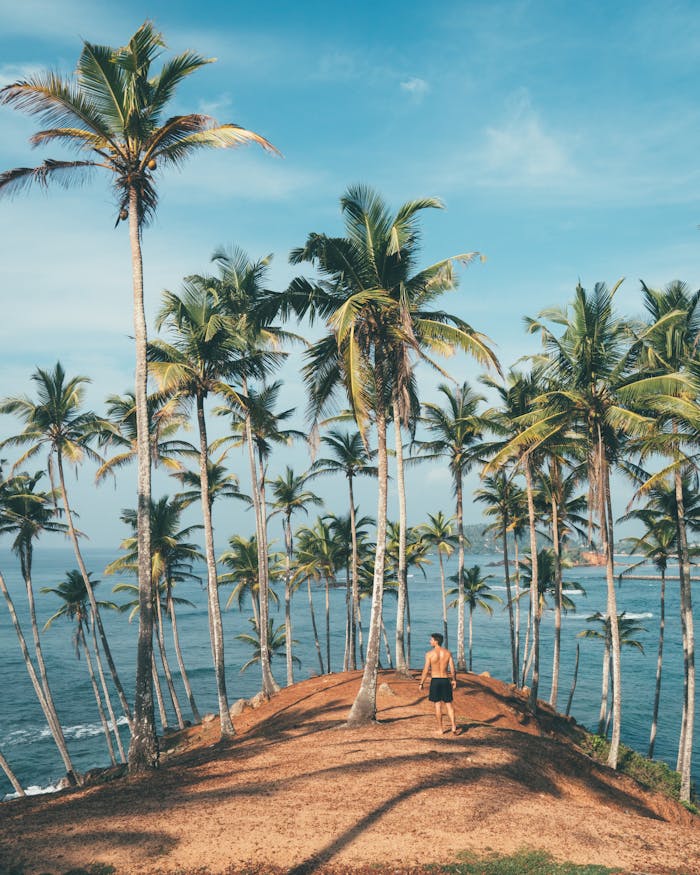 why-choose-us Man walking amidst coconut palms by the ocean in Mirissa, Sri Lanka, embodying tropical paradise vibes.