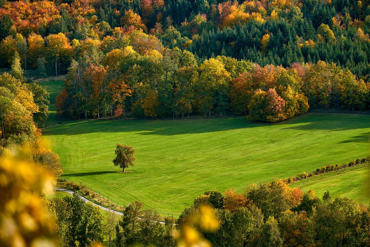 entdecken sie die faszinierende welt der farben! von leuchtenden tönen bis hin zu sanften nuancen - erfahren sie, wie farben unsere stimmung beeinflussen und unser leben bereichern können.