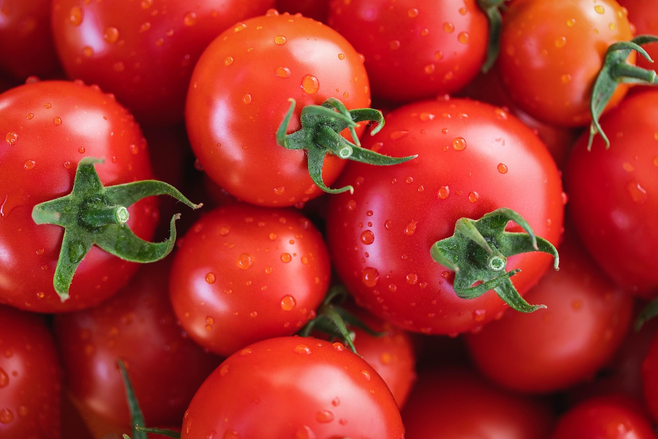 entdecken sie die faszinierende welt der farben! erfahren sie, wie farben unsere stimmung beeinflussen, kreative möglichkeiten eröffnen und die schönheit der natur widerspiegeln.