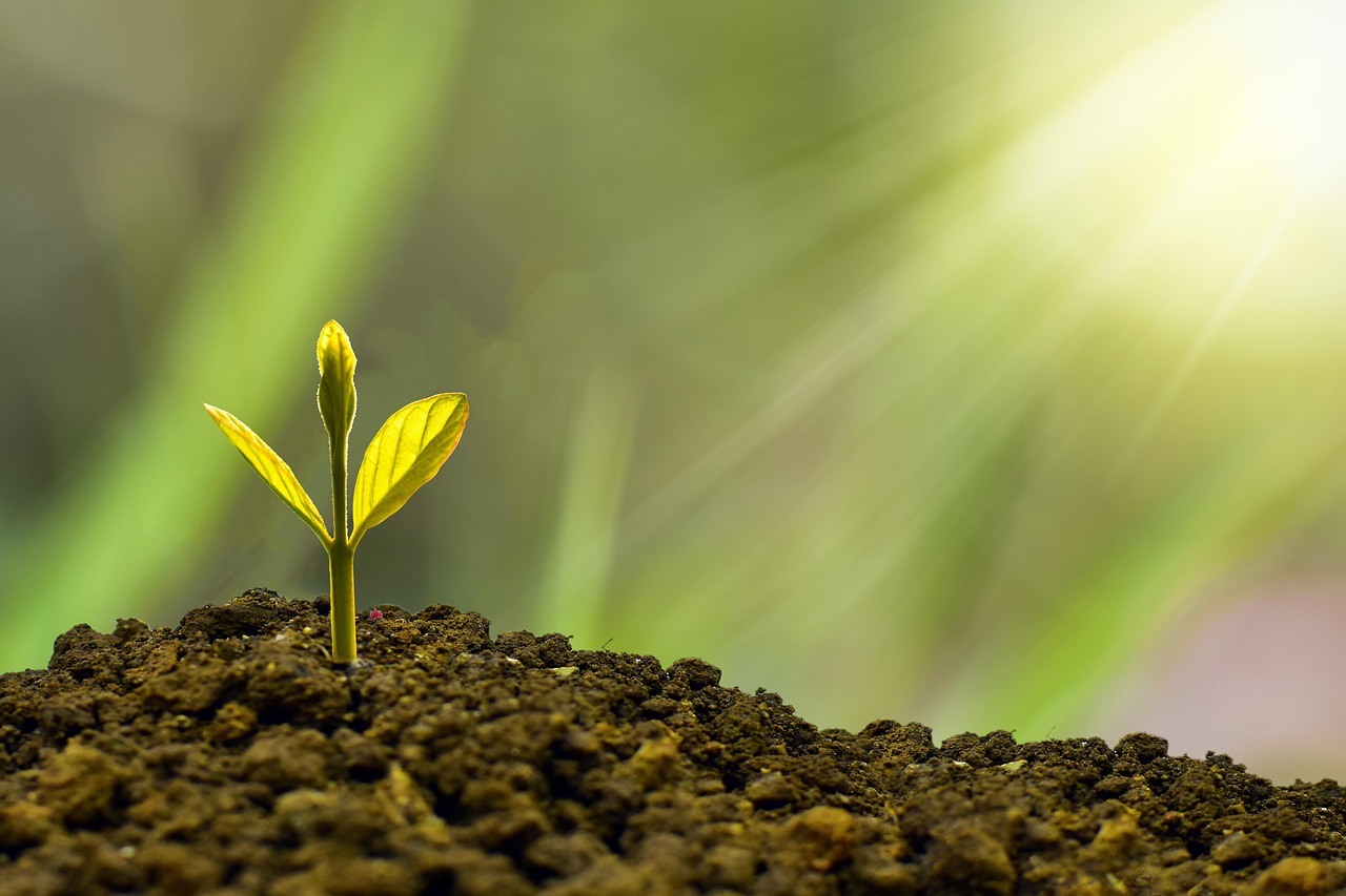 entdecken sie, wie nachhaltigkeit unser leben, unsere umwelt und die zukunft beeinflusst. erfahren sie mehr über umweltfreundliche praktiken, nachhaltige produkte und innovative technologien, die eine grünere welt fördern.