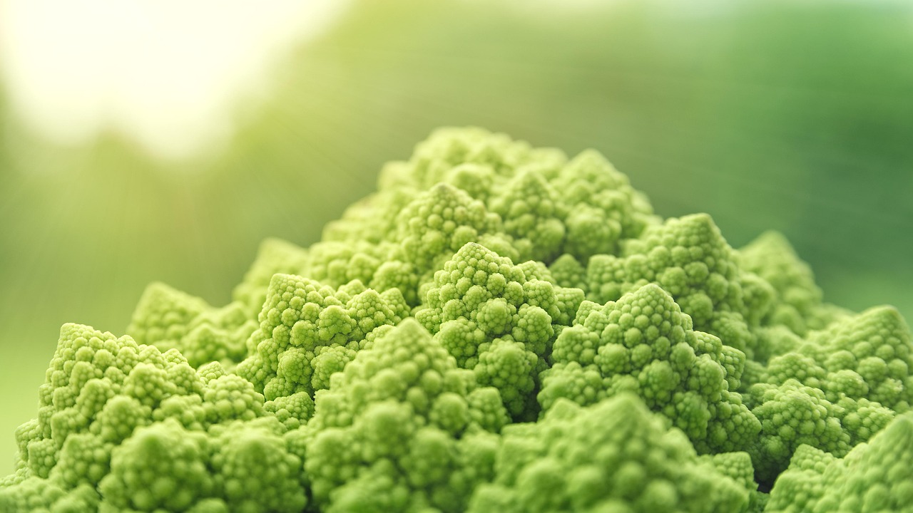 entdecken sie die welt der veganen ernährung! erfahren sie alles über gesunde, pflanzliche rezepte, tipps für eine nachhaltige lebensweise und die vorteile einer veganen lebensweise für ihre gesundheit und den planeten.