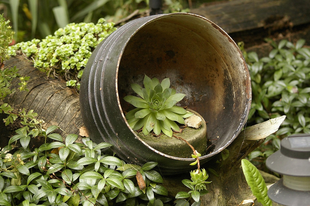 entdecken sie kreative gartenideen, um ihren außenbereich in eine grüne oase zu verwandeln. von innovativem landschaftsdesign bis hin zu praktischen pflanzentipps finden sie alles, was sie für einen traumhaften garten benötigen.