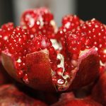 entdecken sie gesunde snacks, die lecker und nahrhaft sind. perfekt für zwischendurch, im büro oder unterwegs – für eine gesunde ernährung und mehr energie im alltag.