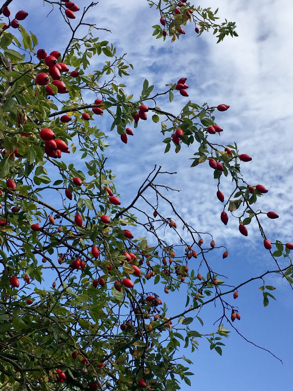 erfahren sie, wie sie durch gesunden schlaf ihre lebensqualität verbessern können. tipps und techniken für eine erholsame nachtruhe.