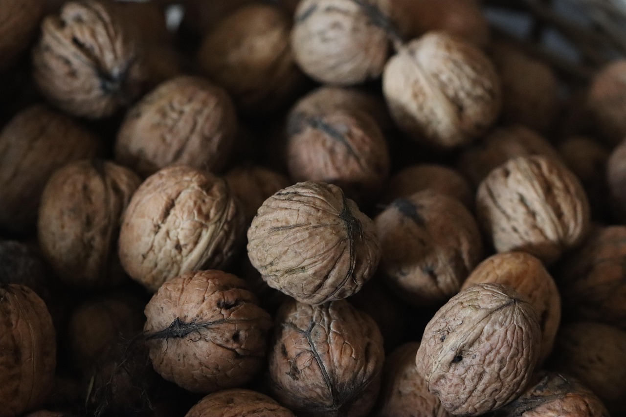 entdecken sie die vorteile von superfoods für ihre gesundheit – nährstoffreiche lebensmittel, die energie und wohlbefinden fördern.