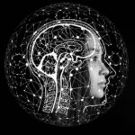 entdecken sie die welt der k&uuml;nstlichen intelligenz, ihre anwendungen und wie sie unsere zukunft ver&auml;ndert.